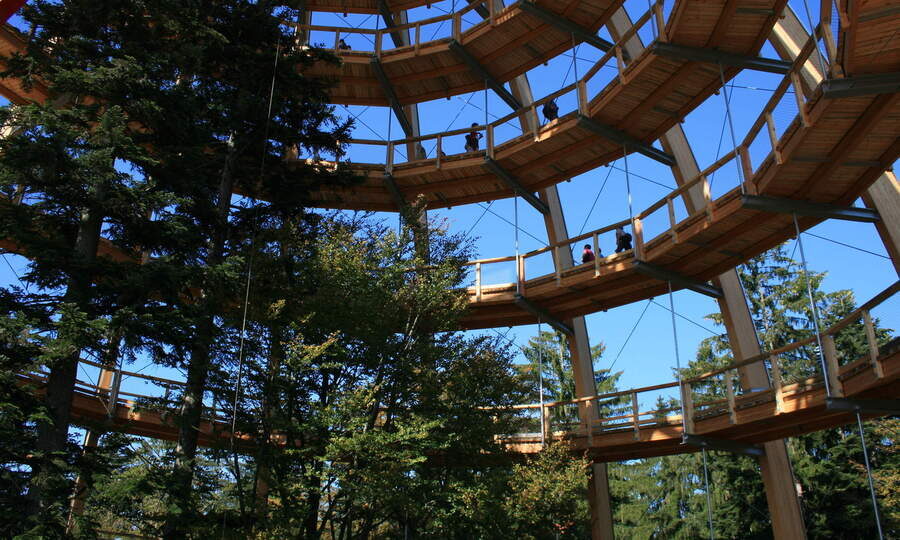 Der Blick auf das Innere des Baumeis mit seinem nach oben f&uuml;hrendem Aufgang zu Spitze.